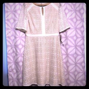 Jessica Howard fit and flare dress